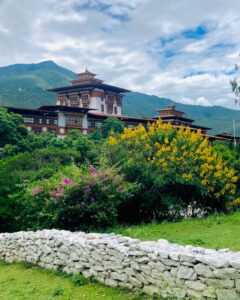 Beautiful view of Punakha Dzong surrounded by lush greenery and vibrant flowers in Bhutan.