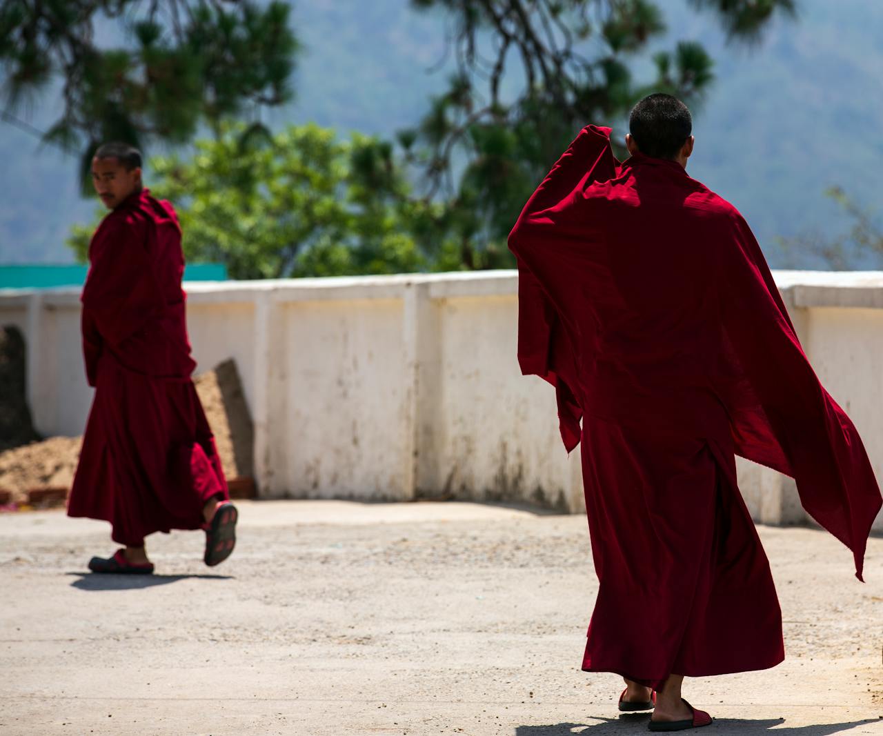 Two monks in traditional red robes walking outdoors in a serene setting during the day.