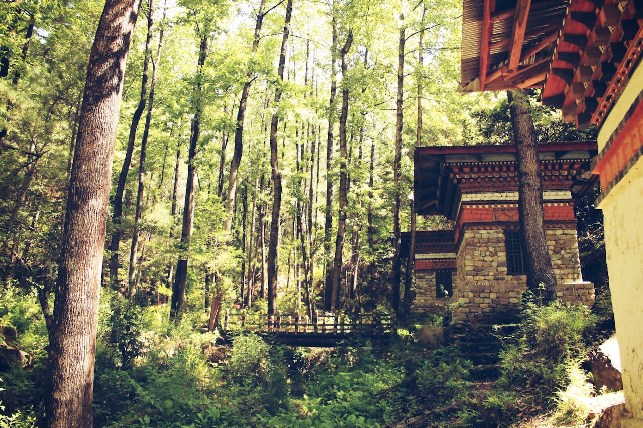 Peaceful forest scene with traditional Bhutanese architecture in Trongsa.